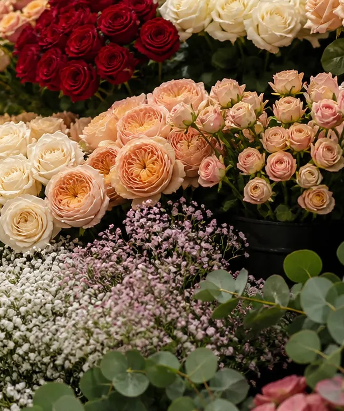 Rosa Garden de cerca con pétalos delicados